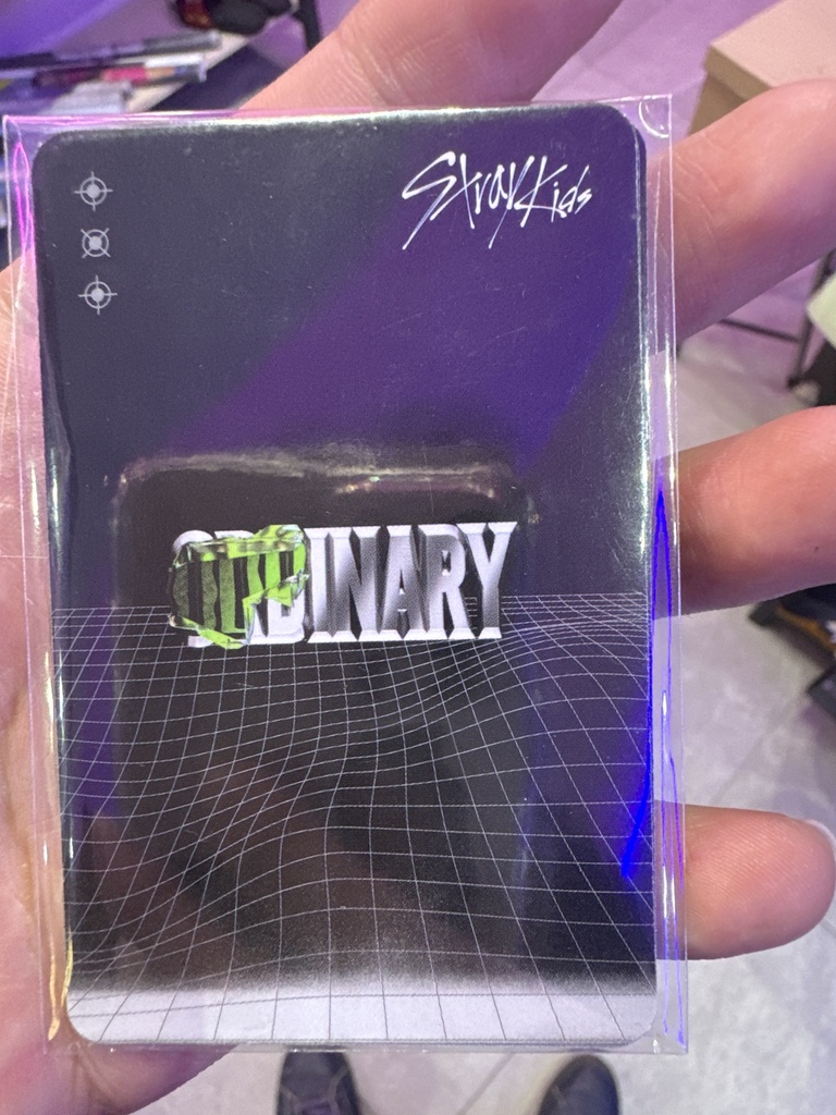 Photocard Stray Kids oficial Frankenstein