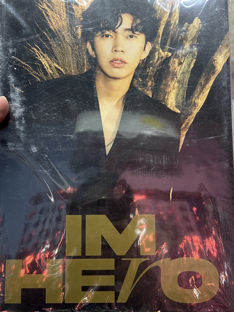 Lim Young Woong Im Hero