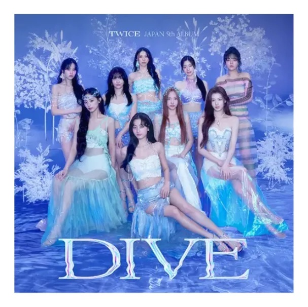 TWICE DIVE JAPAN LIMITED A