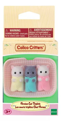 Ternurin Persian Cat Triplets
