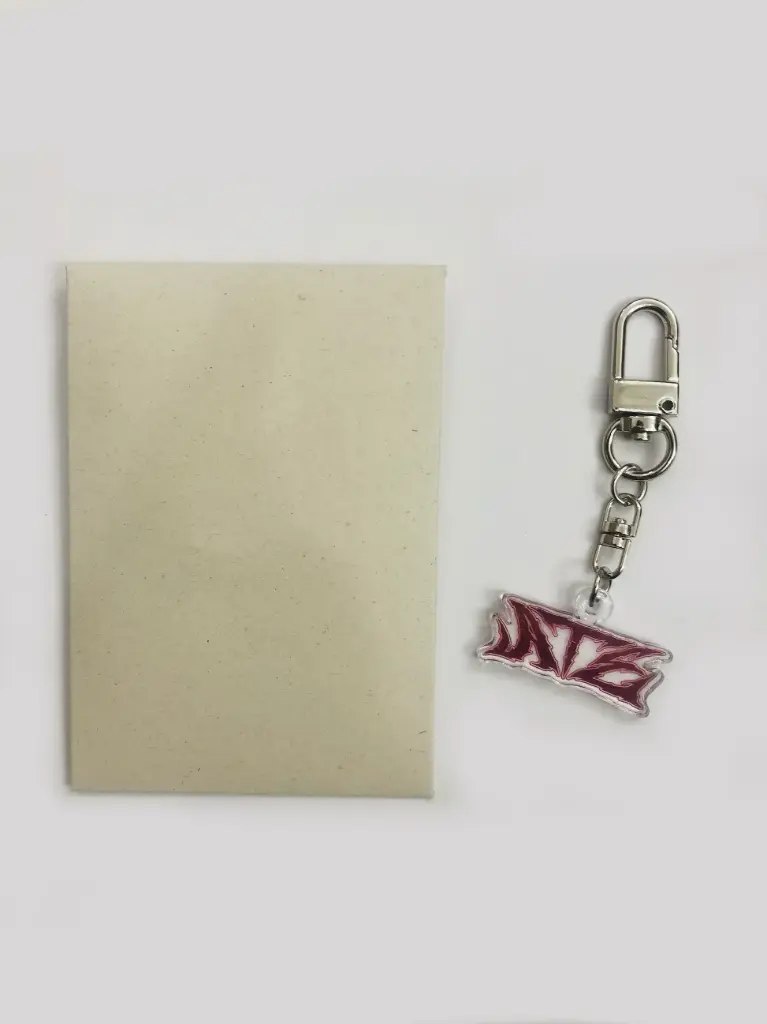 Stray Kids Ate Llavero JYP Fans oficial