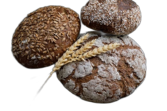 Multigrain Bread