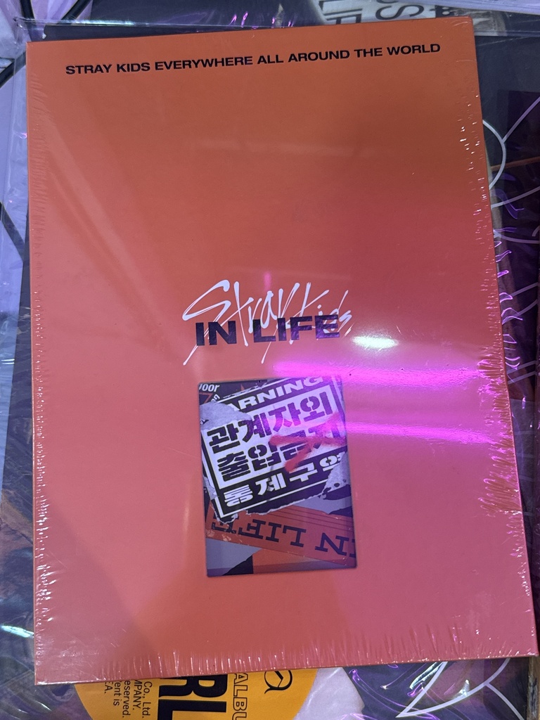 Stray Kids In Life