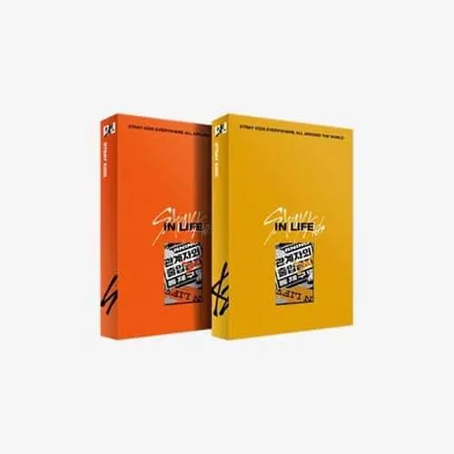 Stray Kids In Life