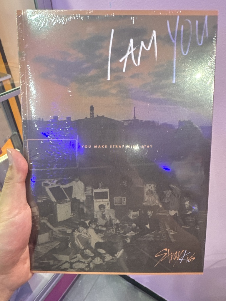 Stray Kids I Am You