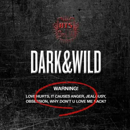 BTS Dark & Wild