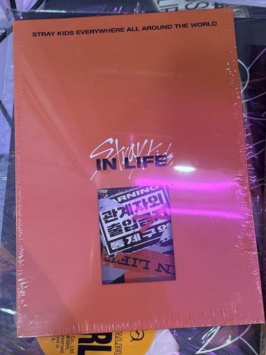 Stray Kids In Life